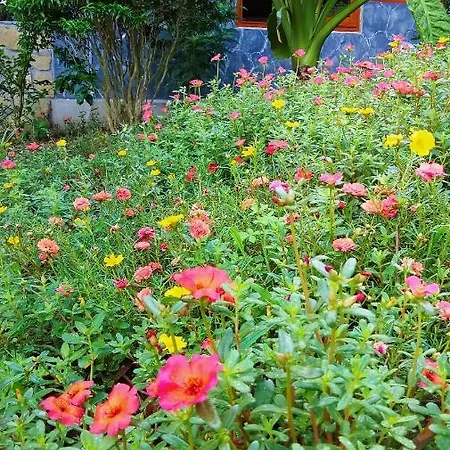 Hang Mua Eco Garden Xuan Son Экстерьер фото