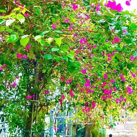 Hang Mua Eco Garden Xuan Son Экстерьер фото