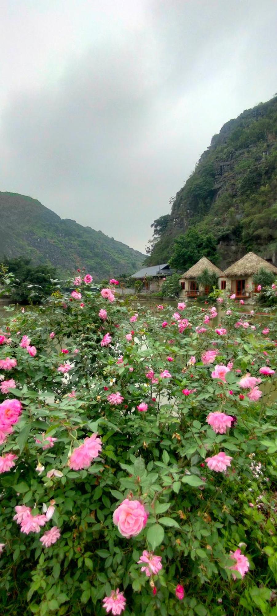 Hotel Hang Mua Eco Garden Xuan Son