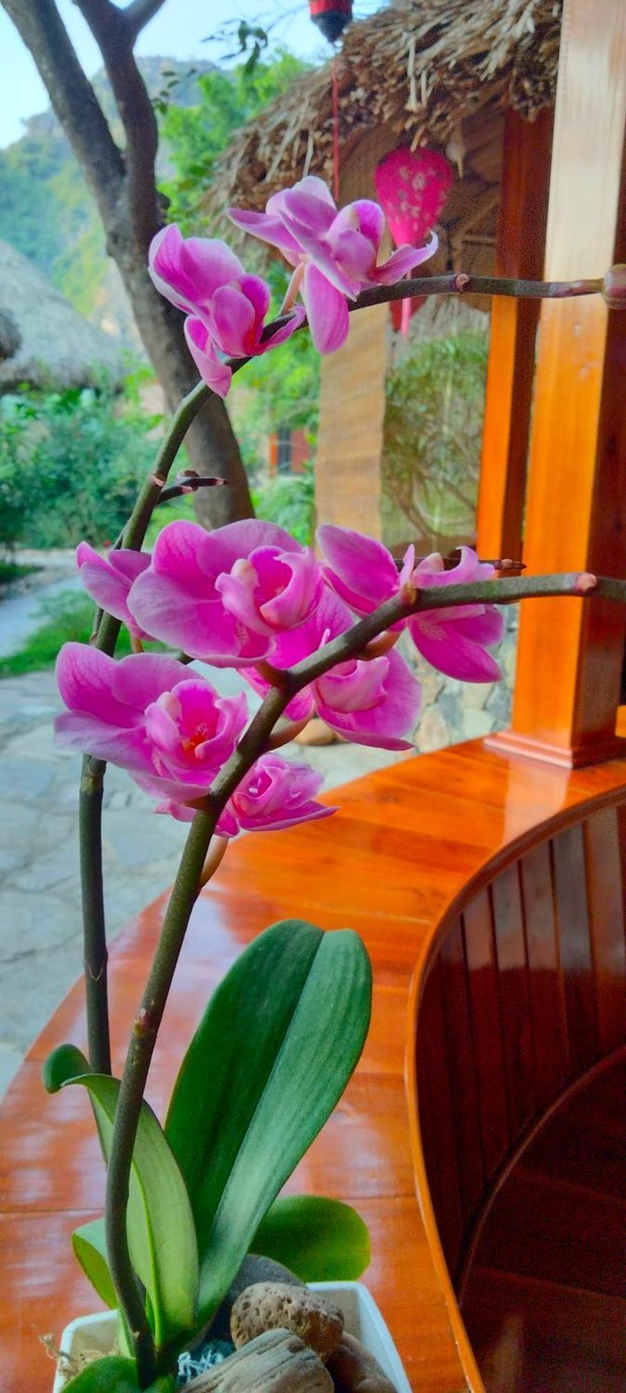 Hang Mua Eco Garden 3* Xuan Son