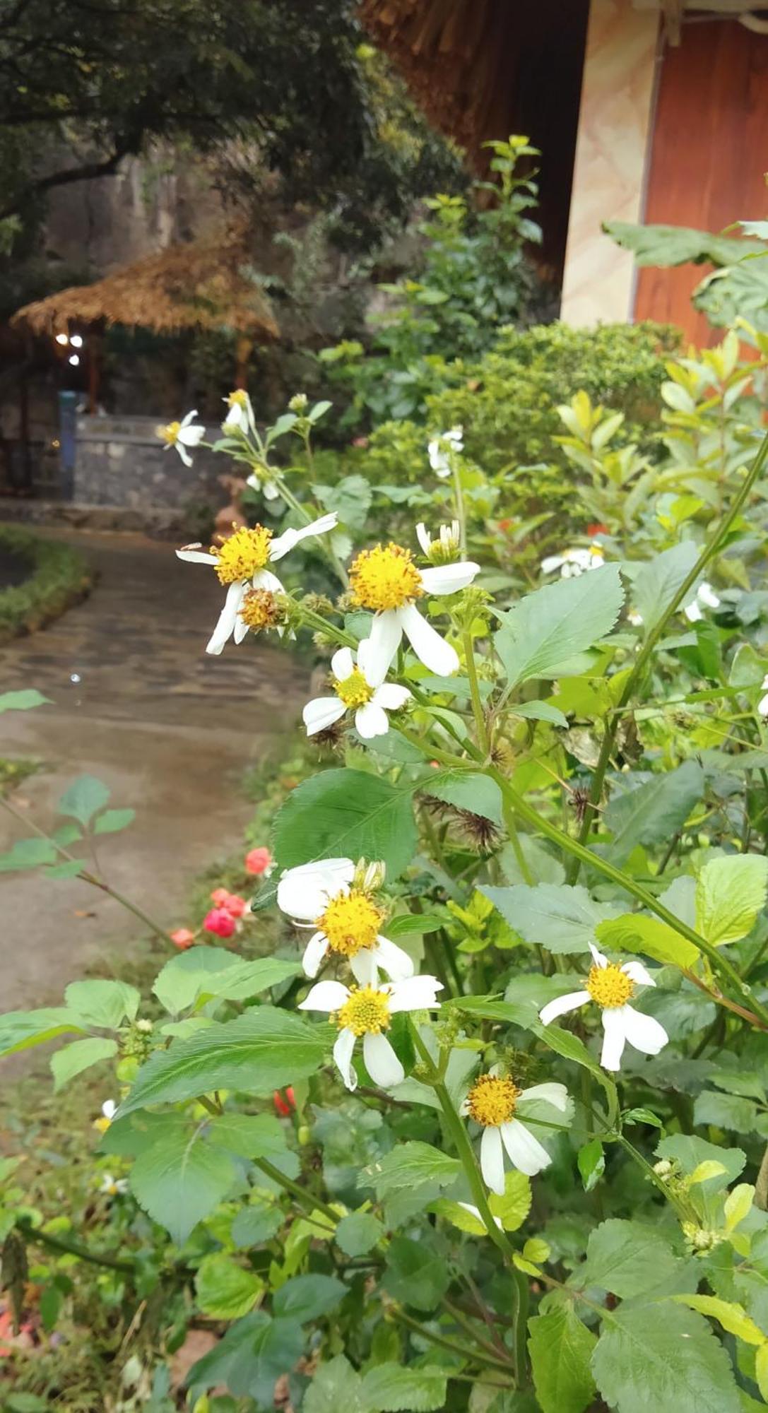 Hang Mua Eco Garden Xuan Son