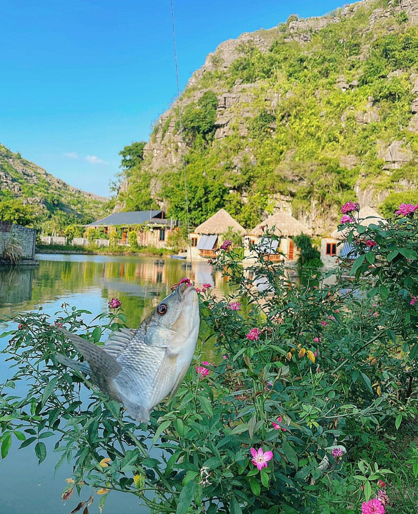 Hang Mua Eco Garden 3* Xuan Son