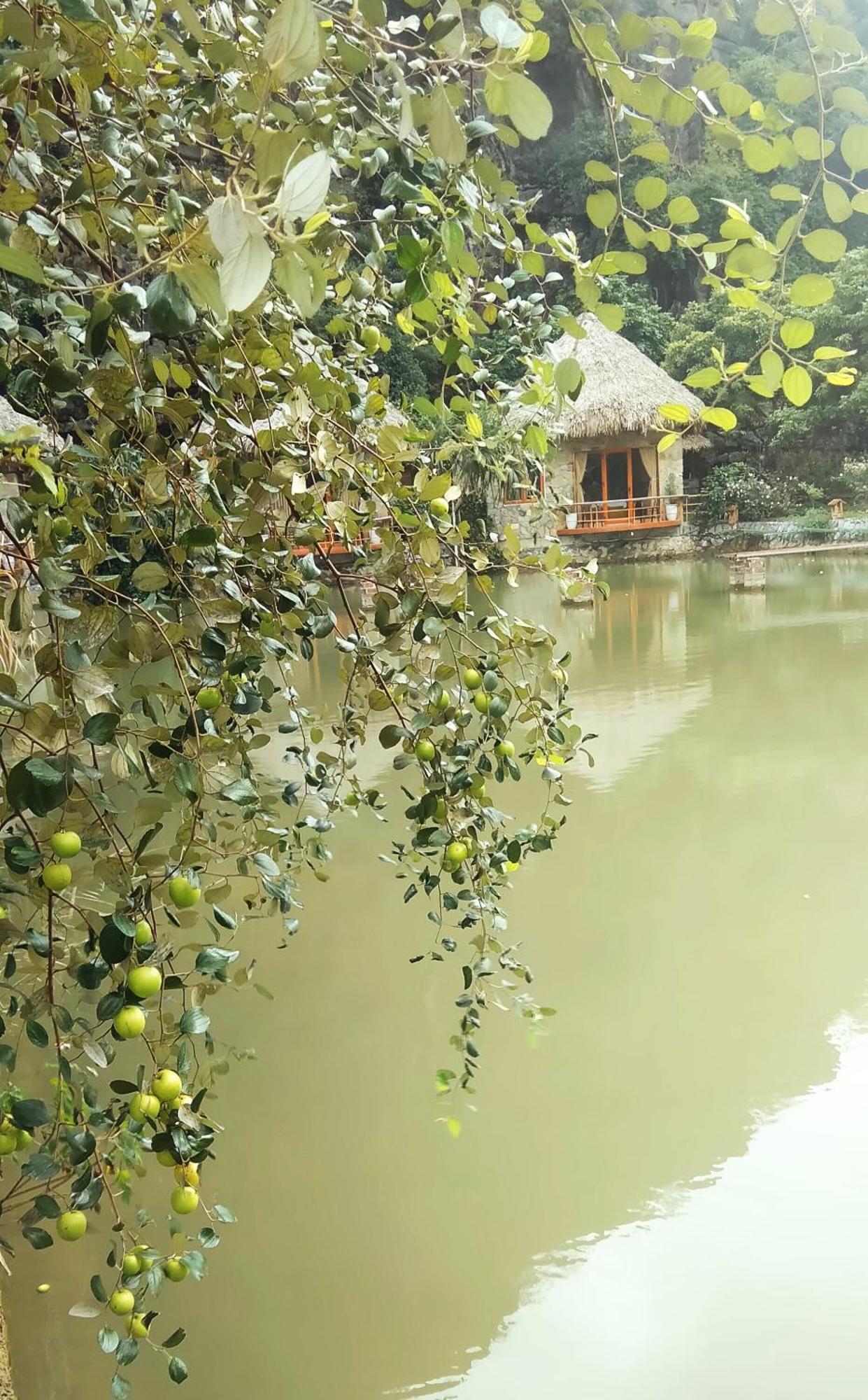 Hotel Hang Mua Eco Garden 3*