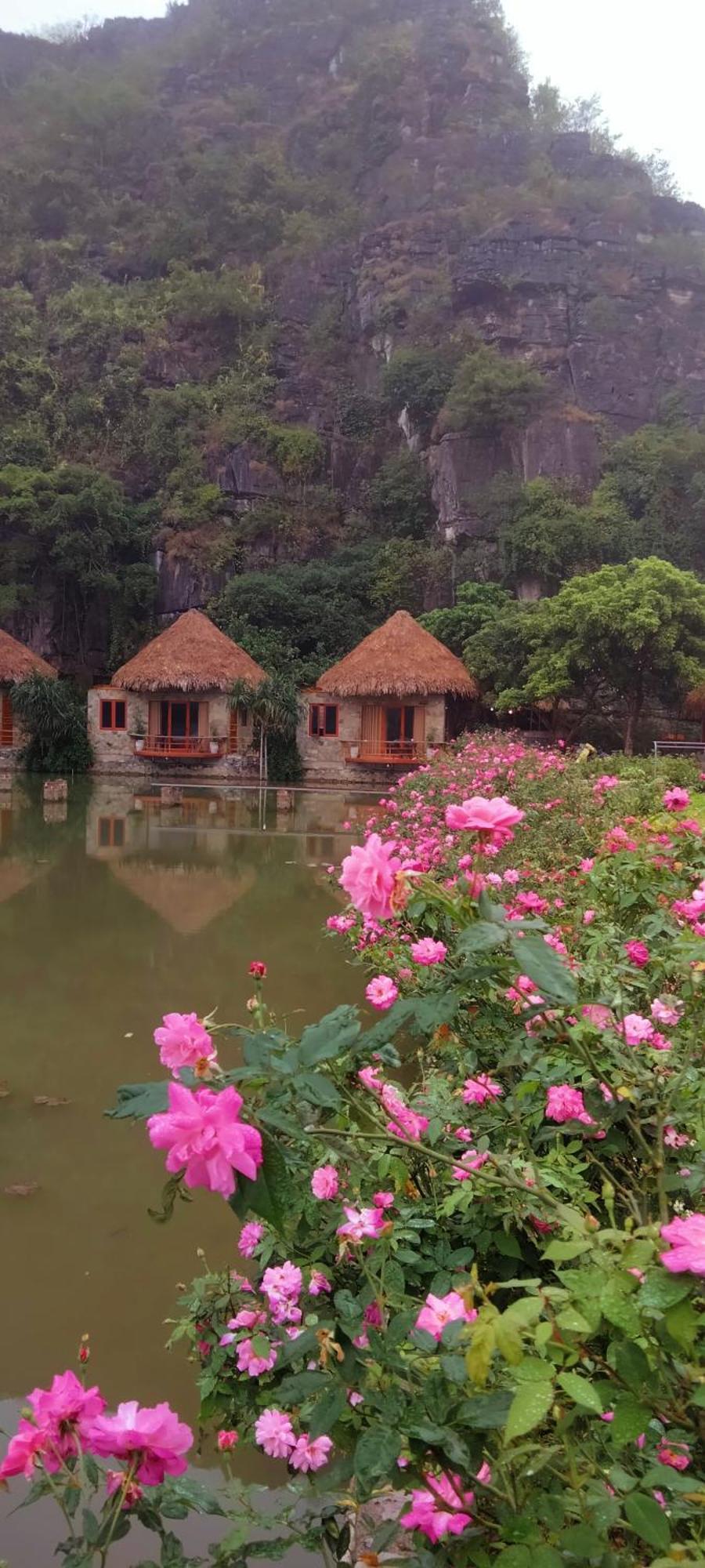 Hang Mua Eco Garden 3*