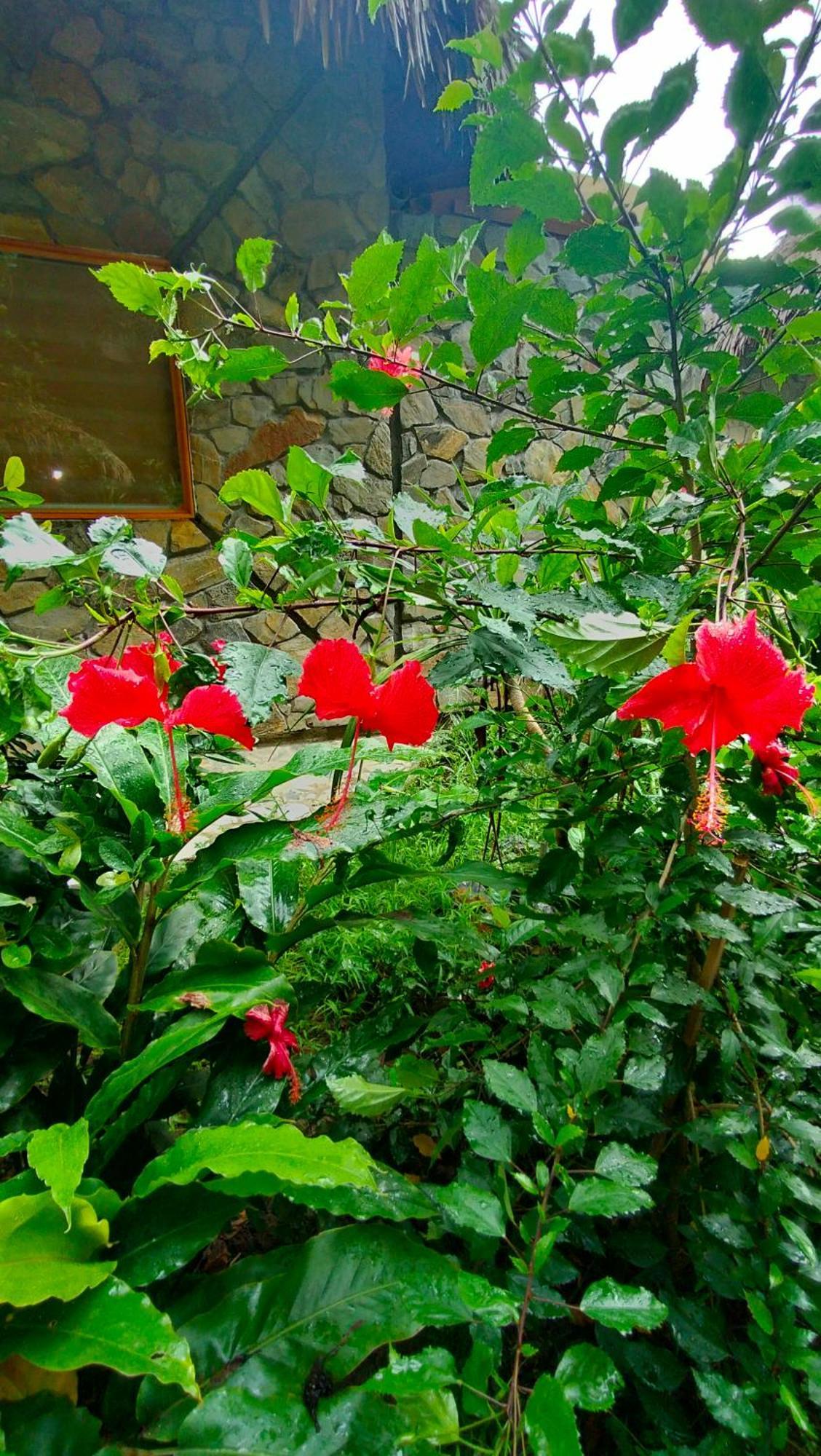 Hang Mua Eco Garden 3*