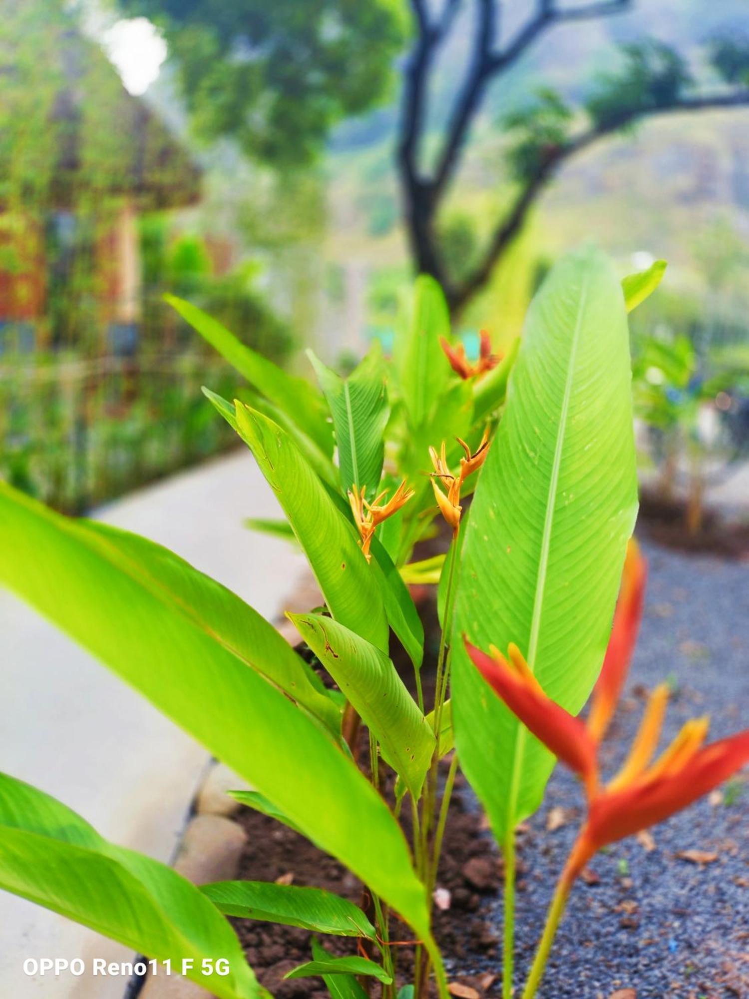 Hang Mua Eco Garden Hotel 3*