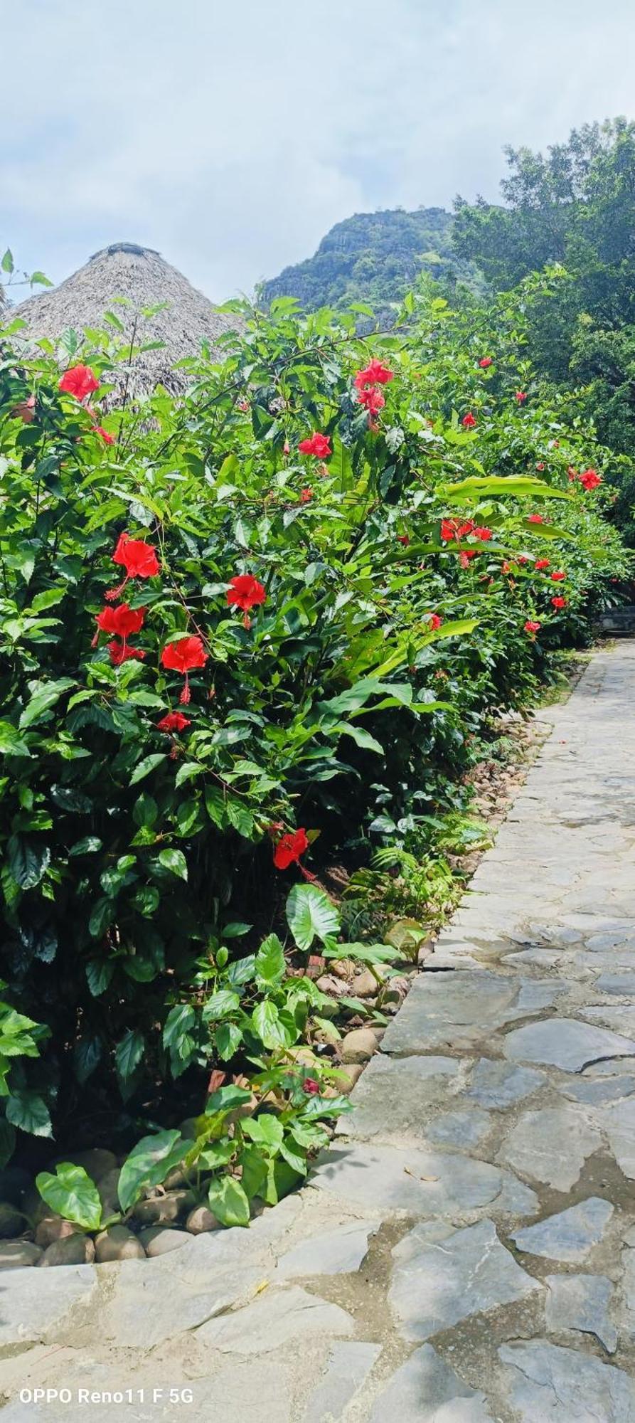 Hang Mua Eco Garden 3* Xuan Son